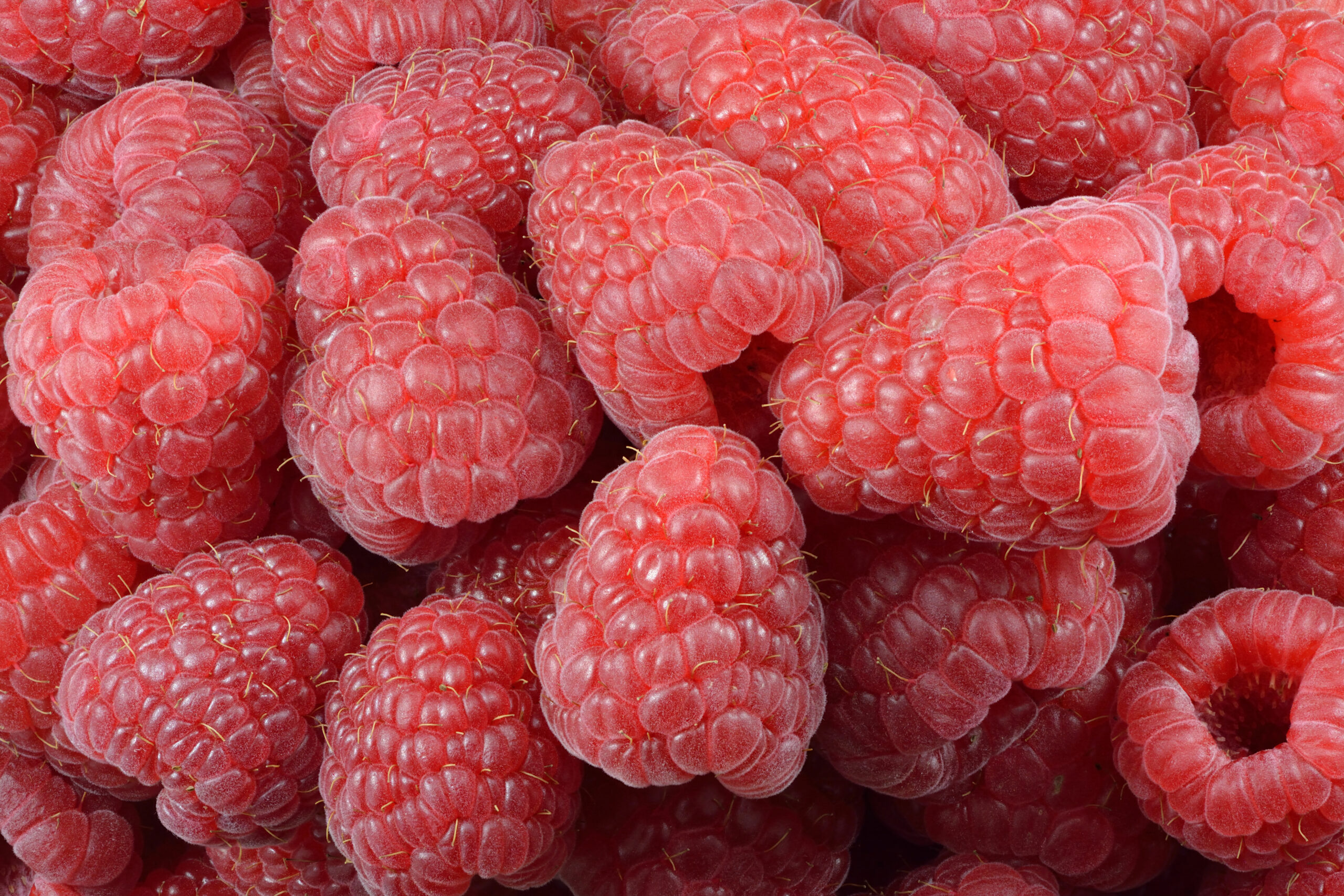 Raspberries: The Delicate Delight