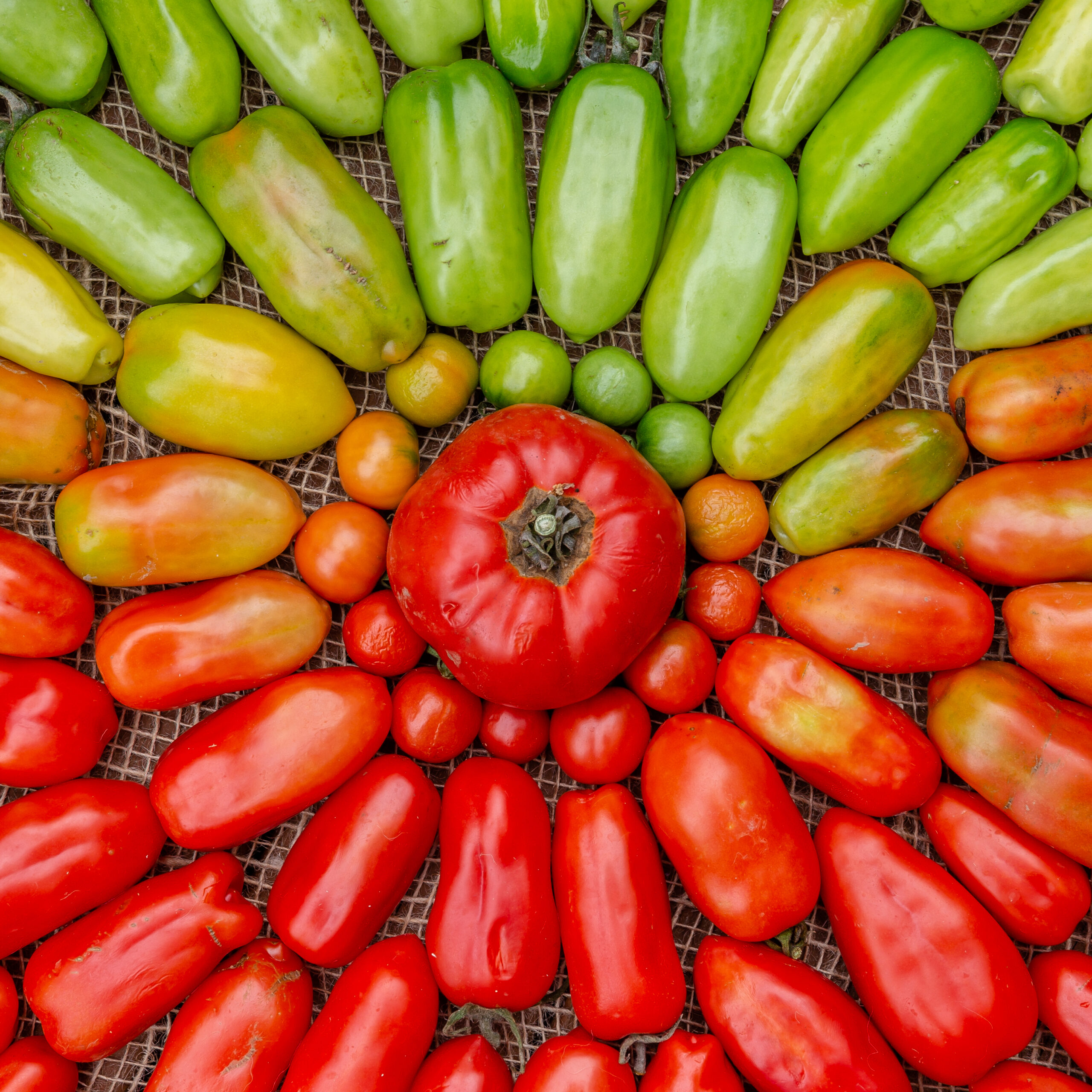 Can You Taste the Difference? The War Between Organic and Processed Foods