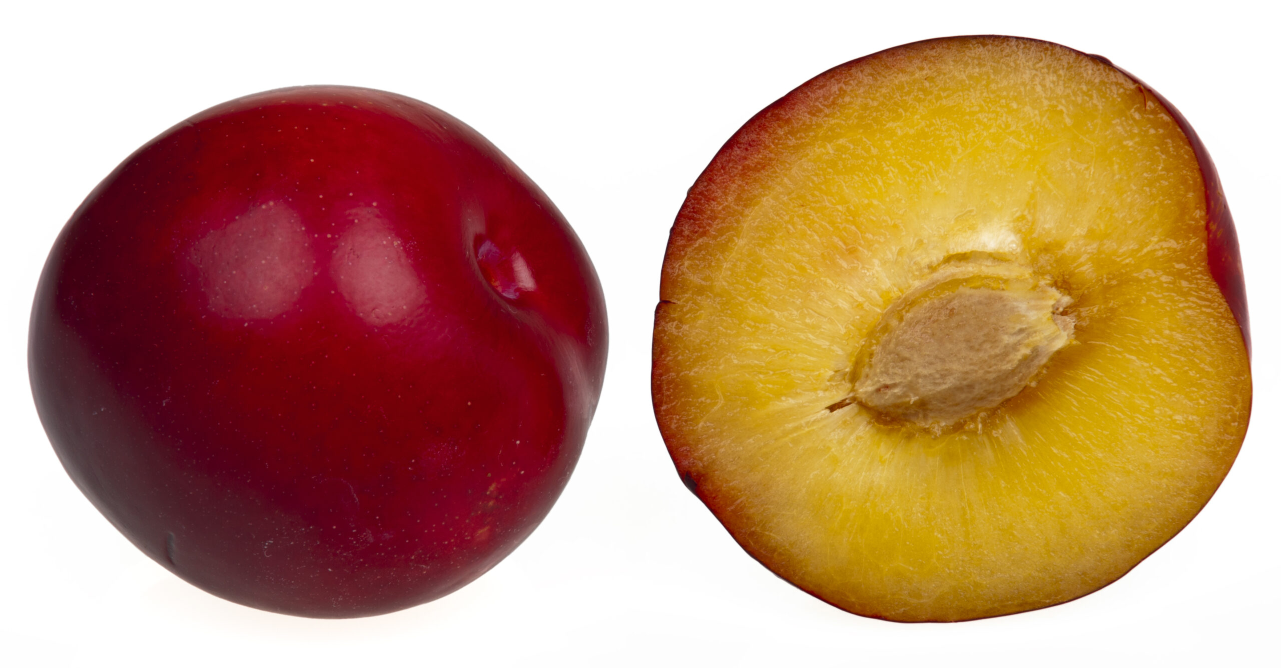 Plum: The Juicy Jewel