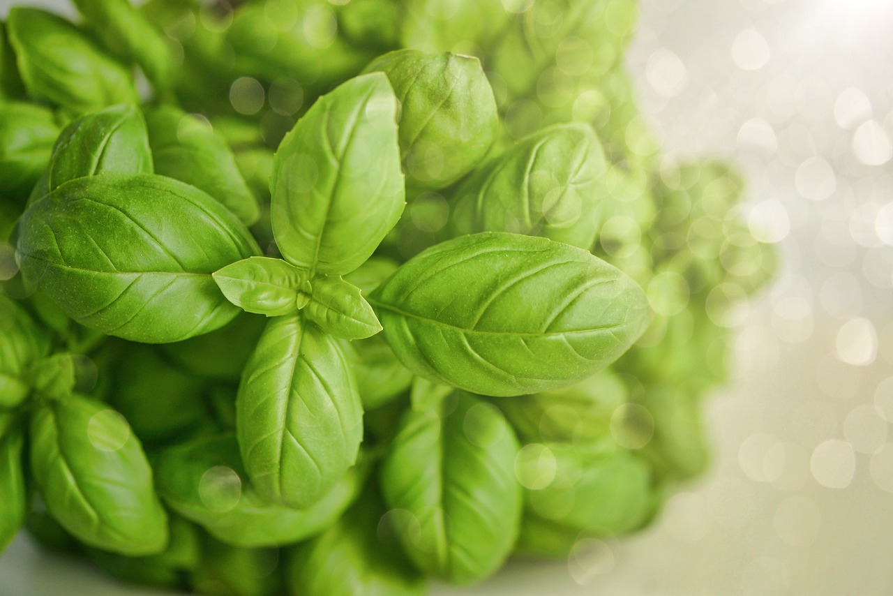 Enhance Flavors with Fresh Herbs