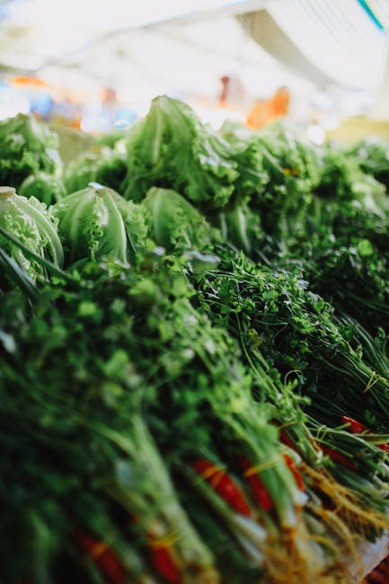 Embracing Seasonality