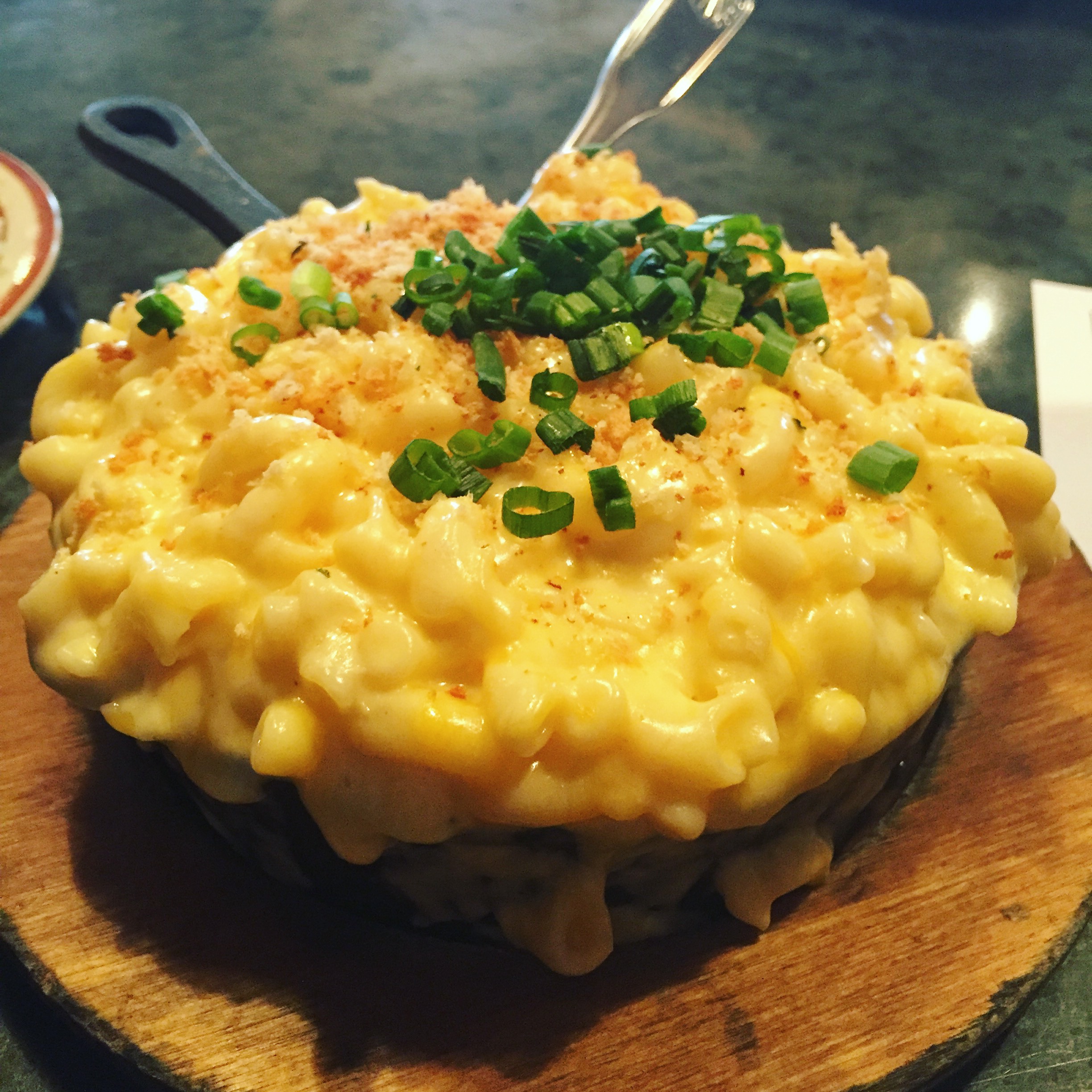 Mac and Cheese: The Ultimate Comfort (image credits: wikimedia)