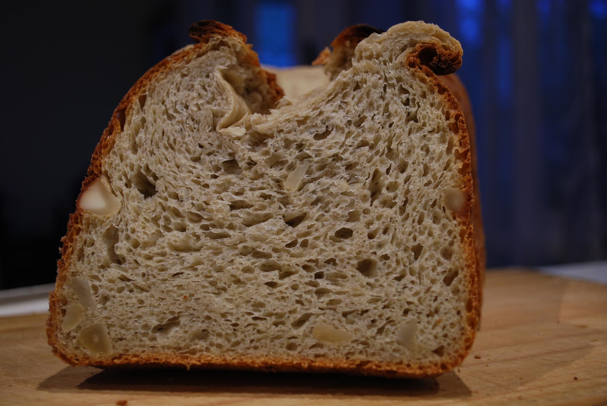 Banana Bread with Macadamia Nuts (image credits: wikimedia)