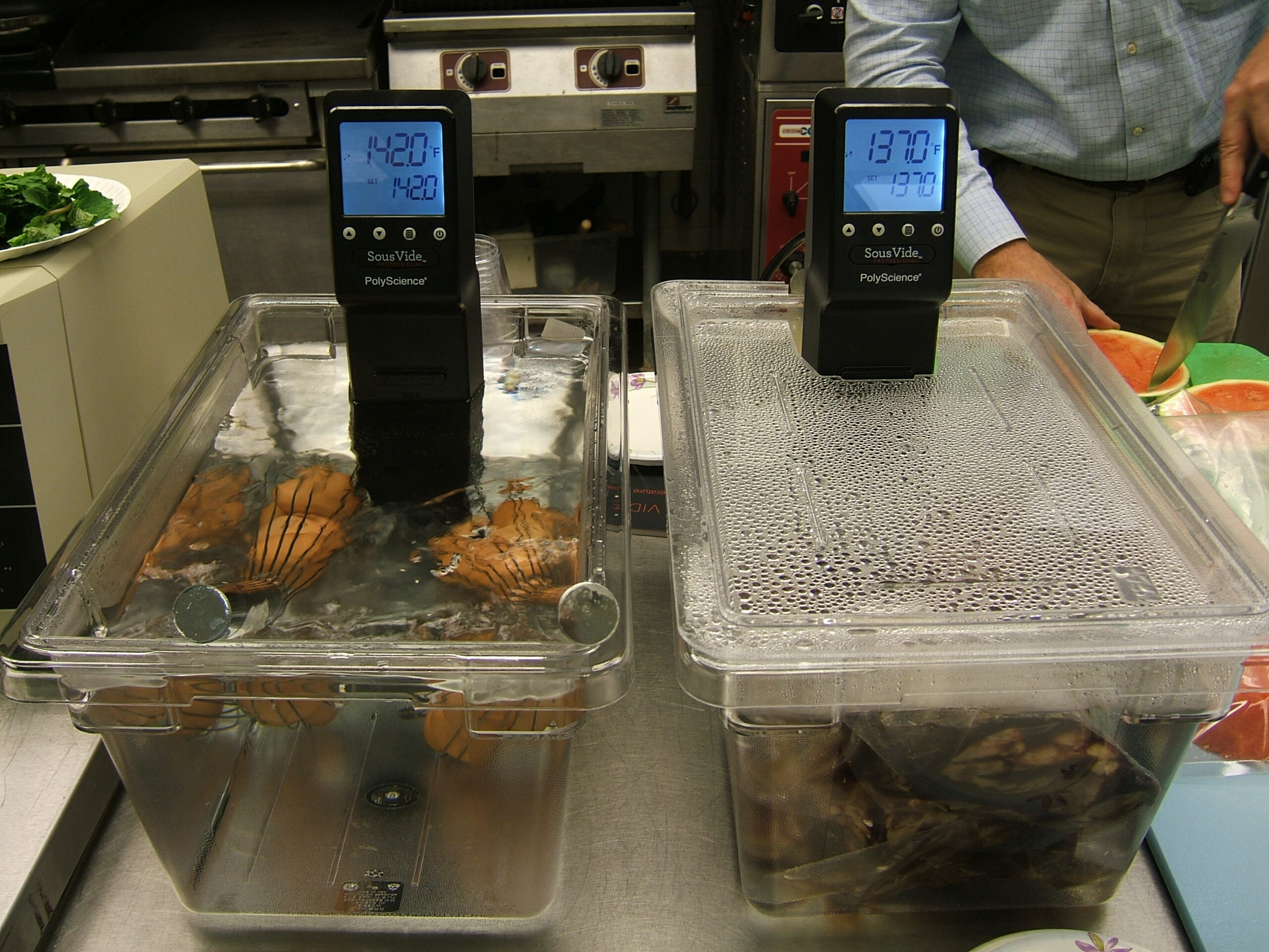 The Allure of Sous Vide: Precision Cooking for Everyone