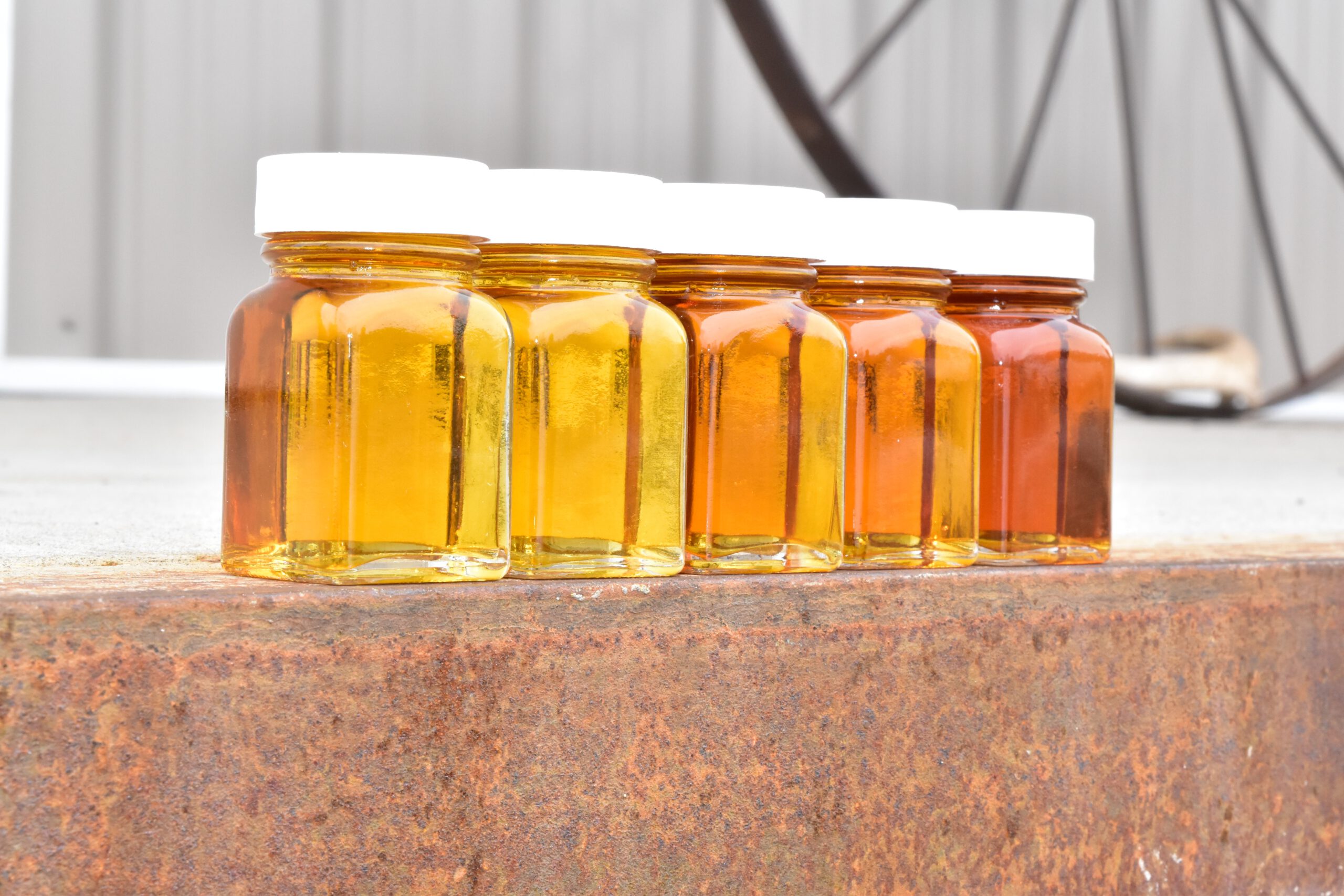 Maple Mania: The Sweet Syrup Drizzling Beyond Breakfast