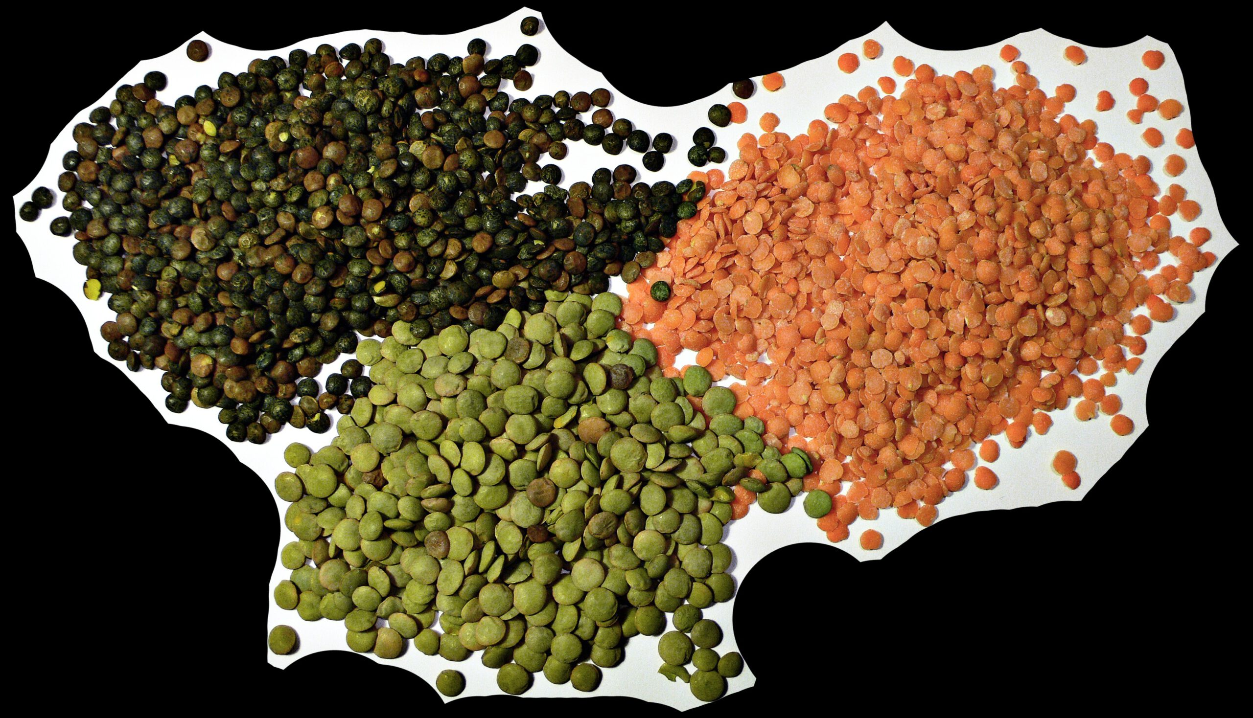 Lentils: The Versatile and Affordable Protein Powerhouse