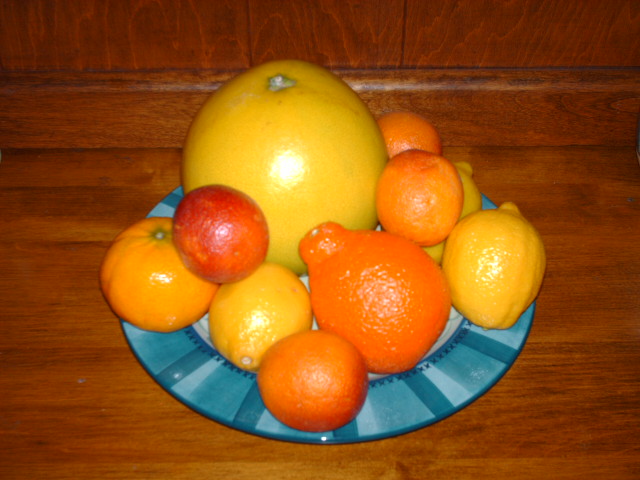 Citrus Brightens Up Dishes with Acidity and Freshness