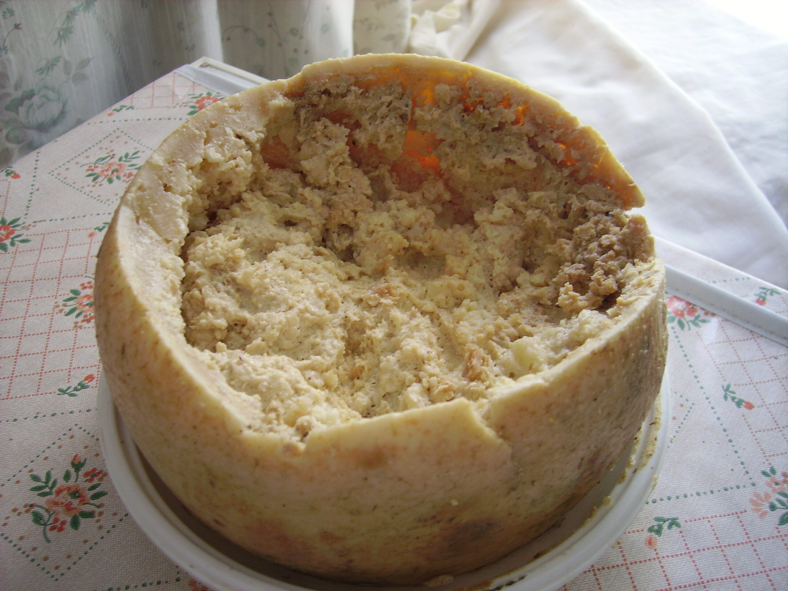 Casu Marzu: Inside the World's Most Hazardous Cheese Delicacy