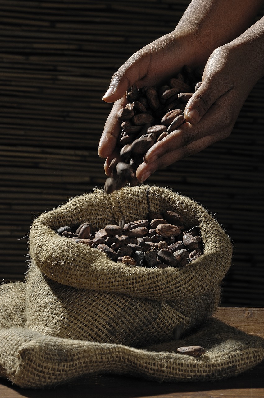 Are Your Brownies at Risk? Trump’s Tariffs Hit Cocoa Powder Hard