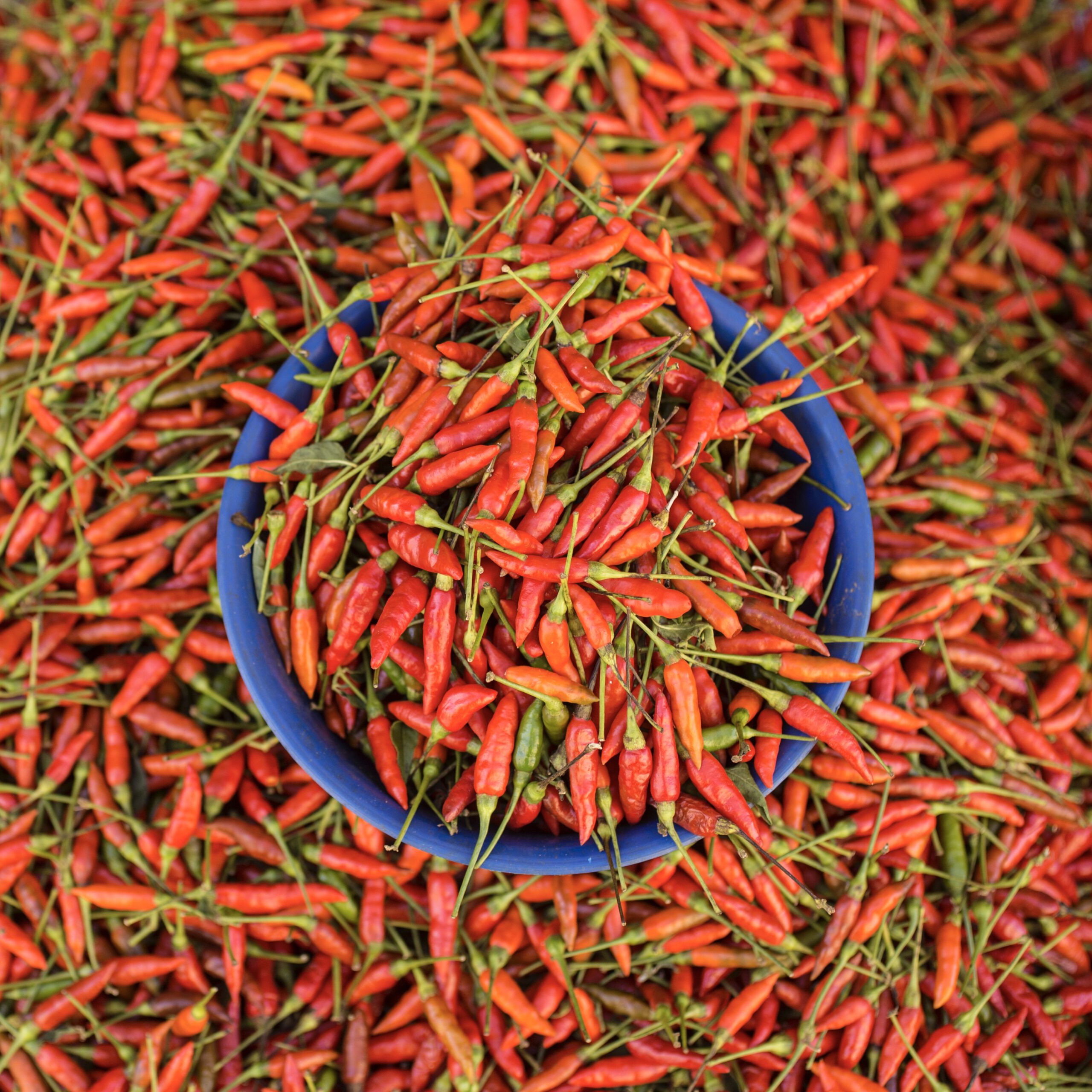 The Best U.S.-Grown Spice Substitutes Amid Trump-Era Trade Barriers