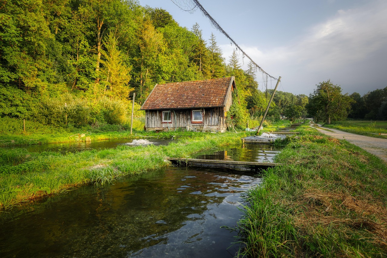 11 Shocking Truths About America’s Food Imports That No One Told You