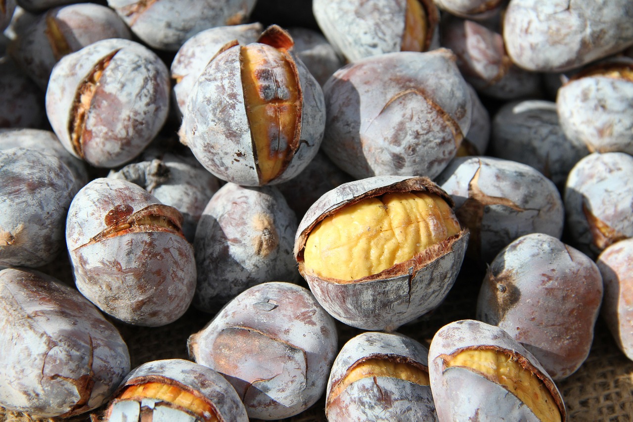 The 10 Healthiest Nuts — Ranked from Worst to Best