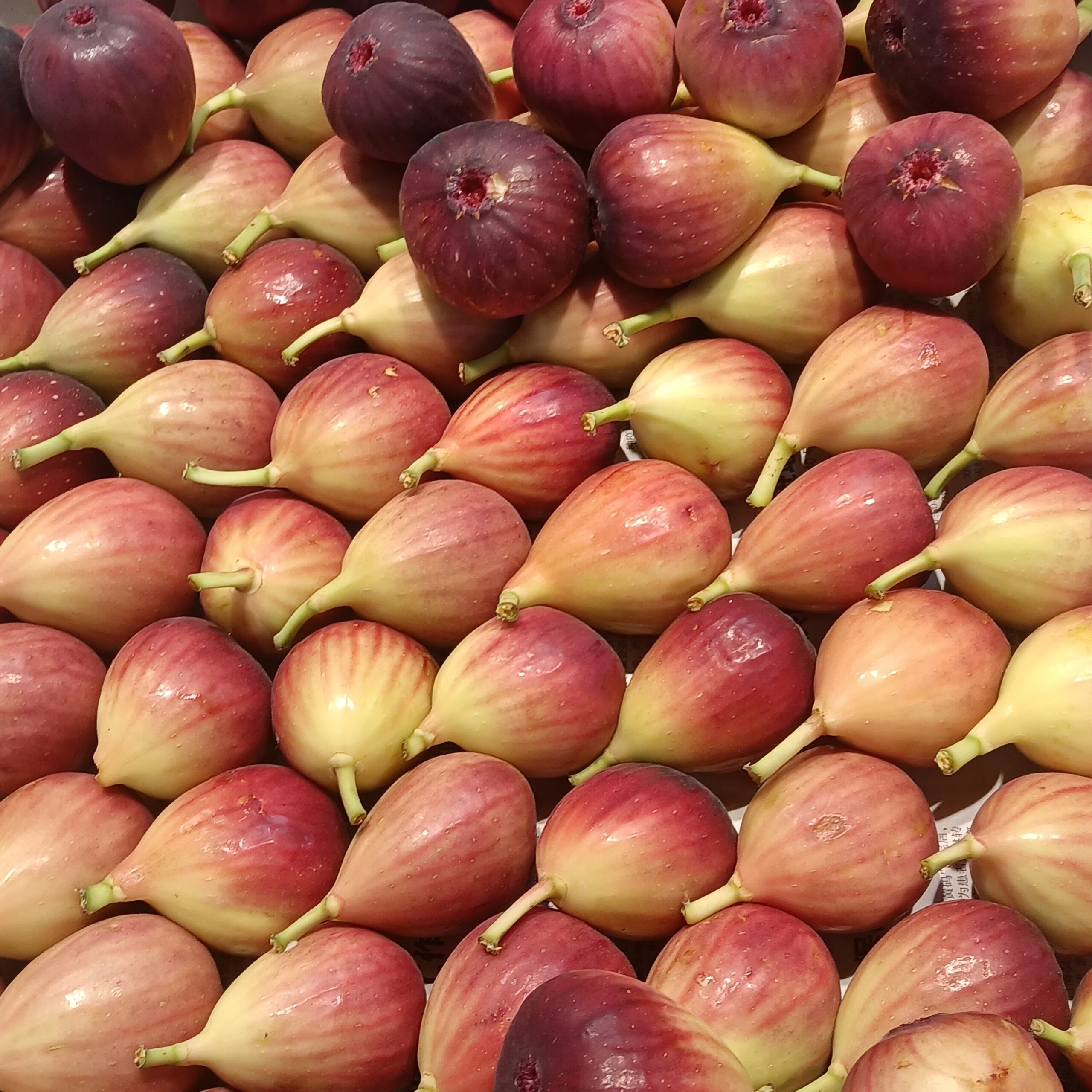 10 Fruits That Soothe Your Digestive Tract