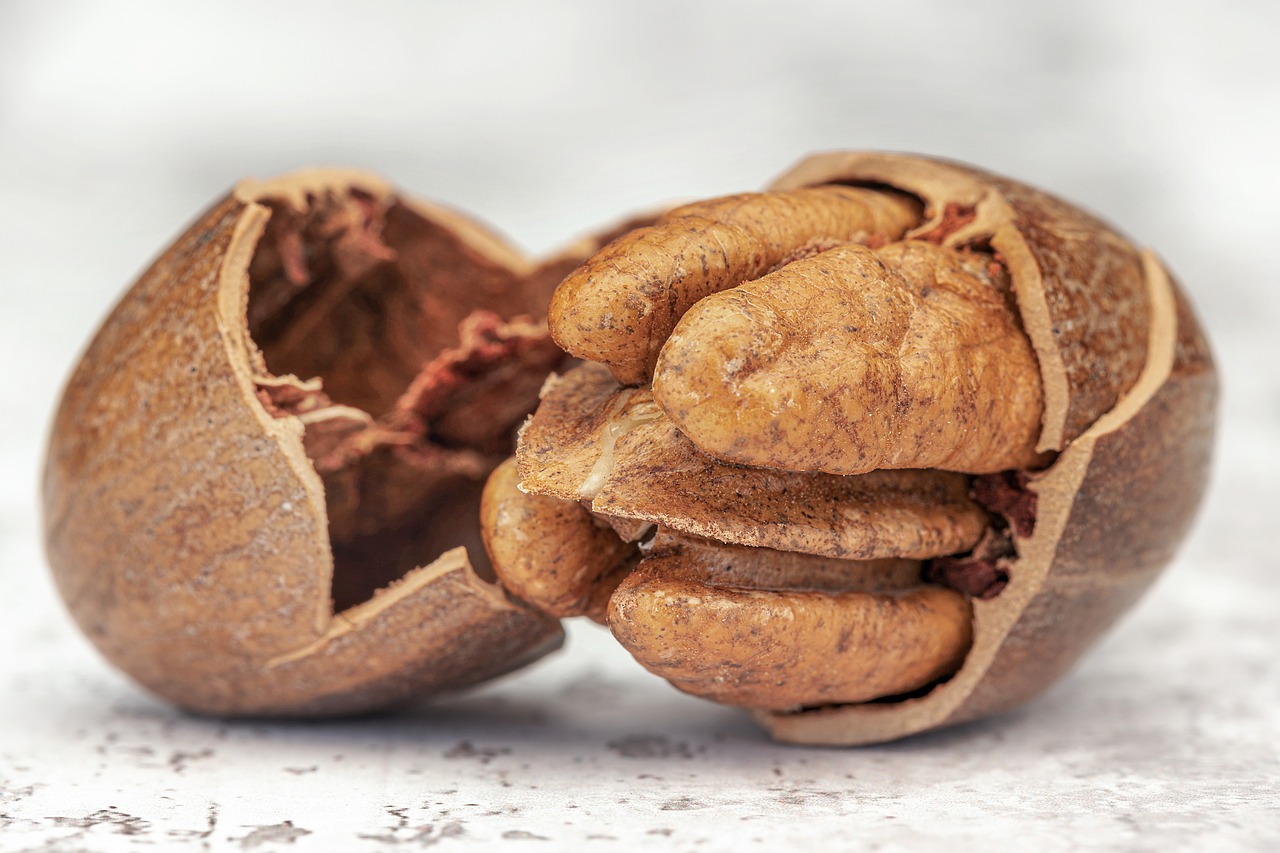 Top 10 Nuts That Support Weight Loss and Health