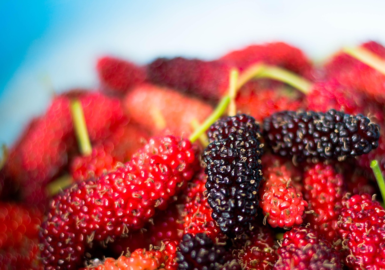 Fruits Rich in Calcium You Probably Didn’t Expect