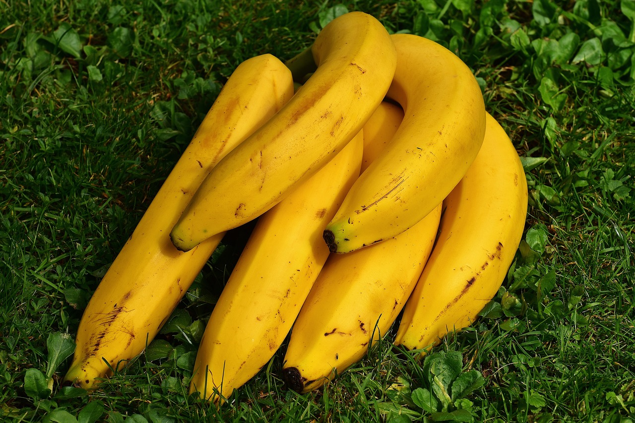 Fruits That Support Gut Health
