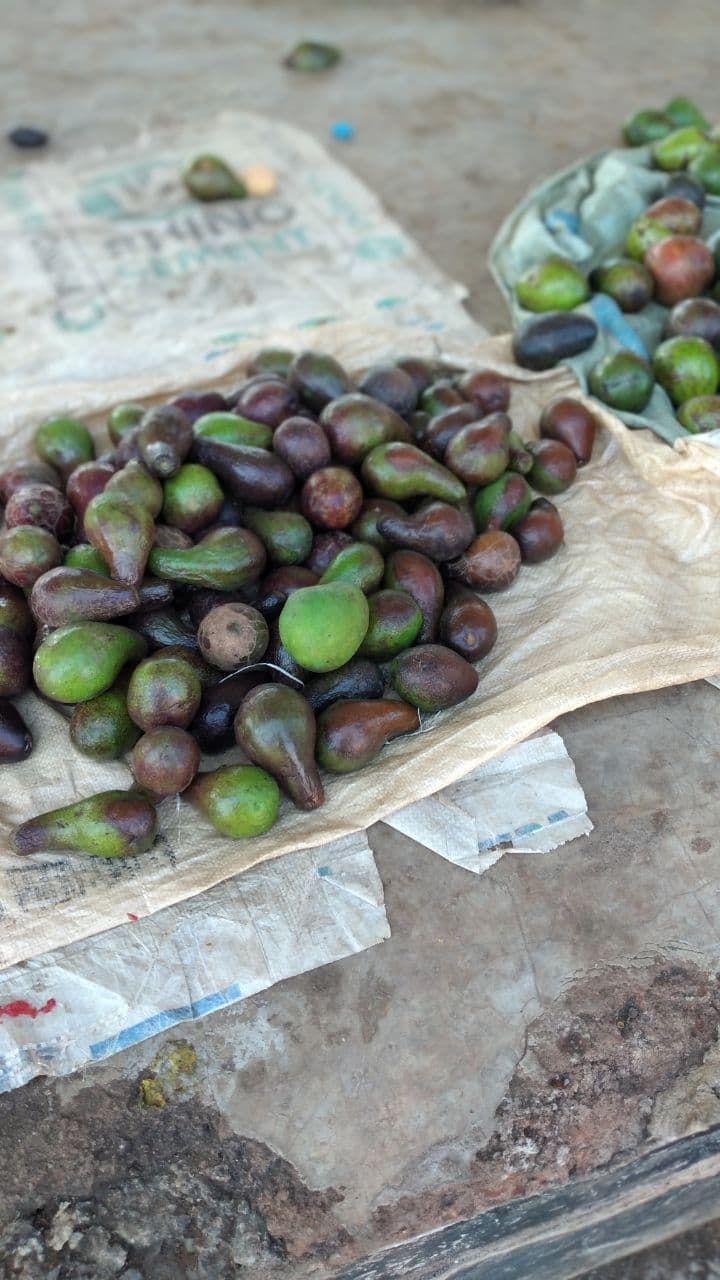 Why You Need More Avocados in Your Life