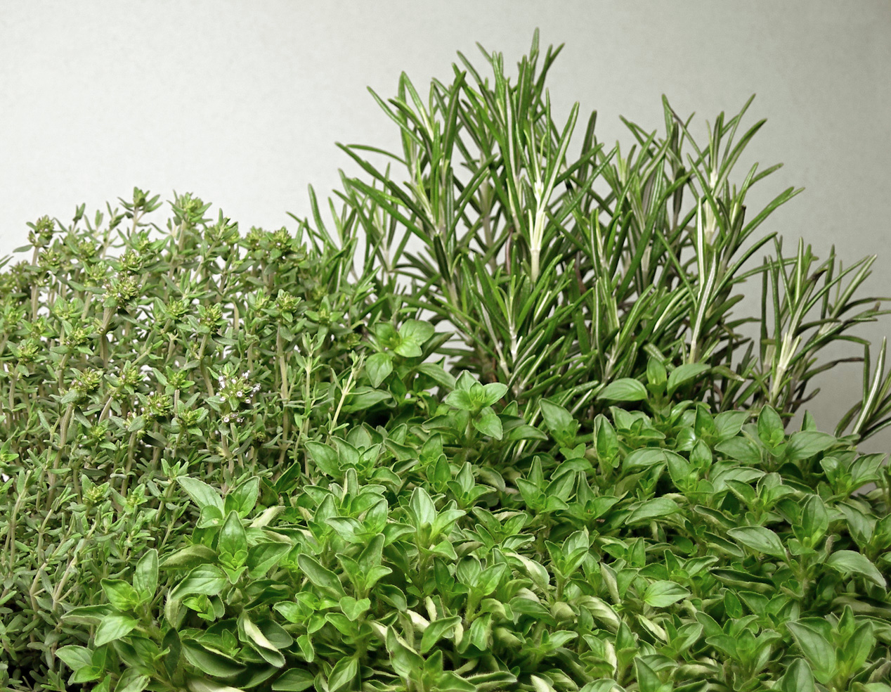 Why Roasting Herbs Might Be the Secret to Next-Level Flavor