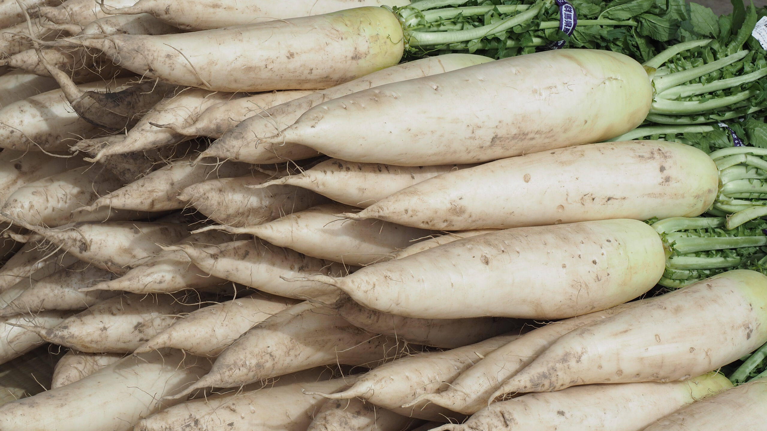 Top 9 Root Vegetables You Should Be Eating More Of
