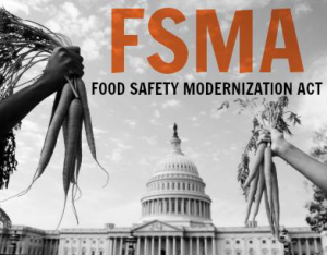 7 Ways to Enjoy International Flavors Without the Food Safety Risks