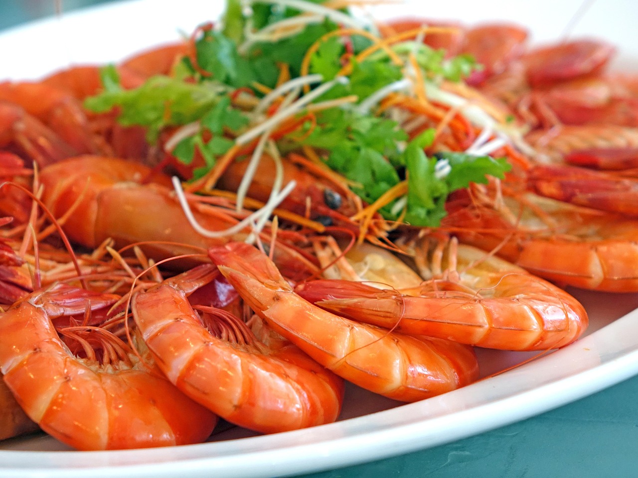 Lean Proteins That Keep You Full and Energized