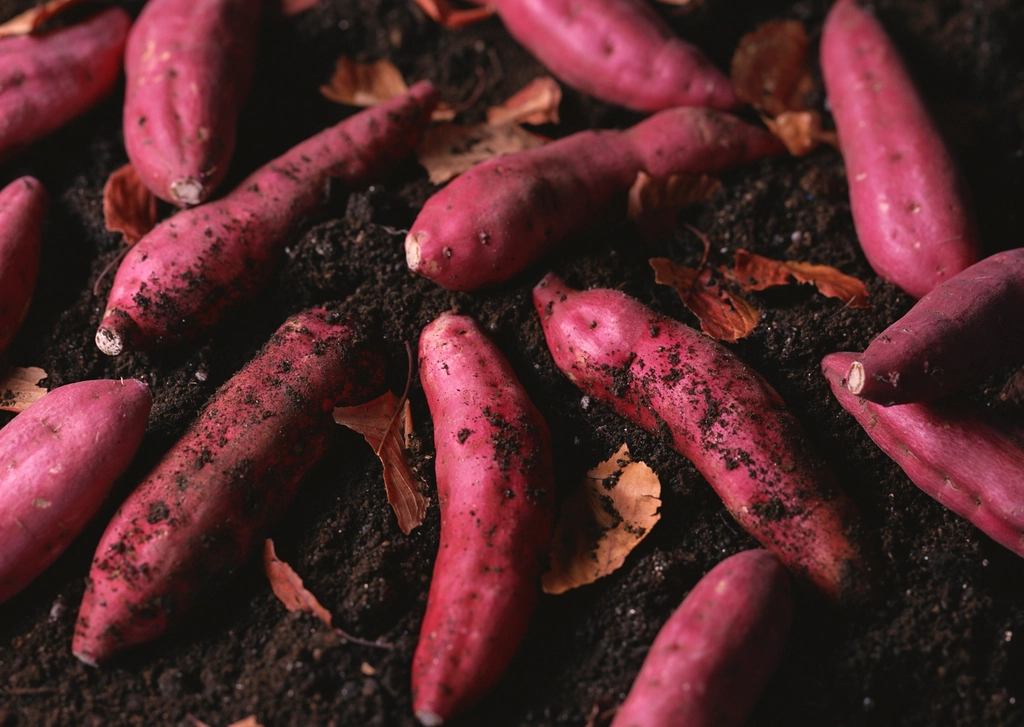 10 Foods to Help Calm Autoimmune Flares
