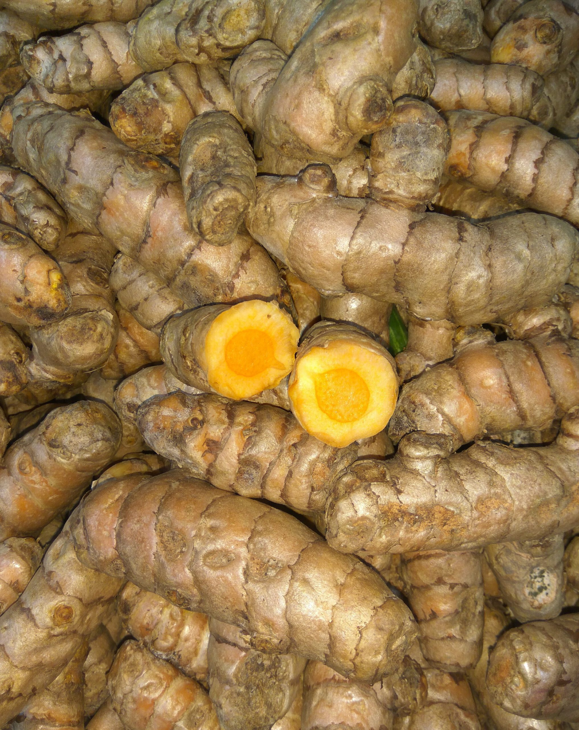 8 Best Anti-Inflammatory Ingredients for Autoimmune Conditions