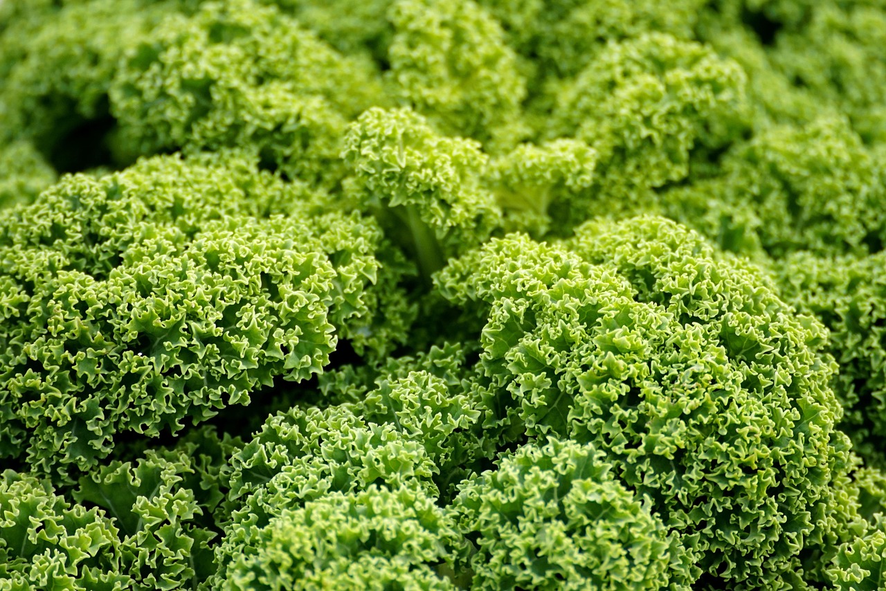 Top 9 Vegetables That Boost Heart Health and Lower Cholesterol