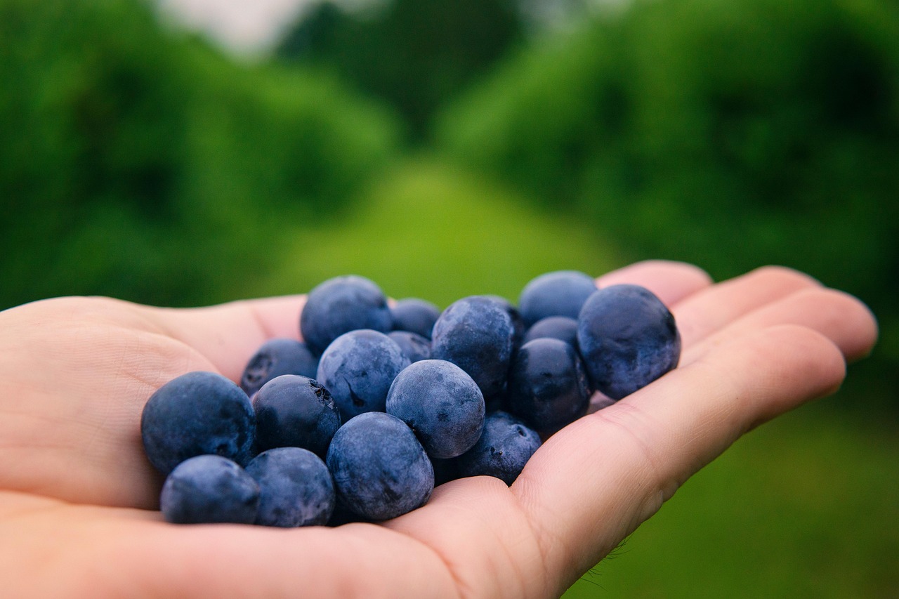 10 Must-Have Fruits to Always Keep in Your Kitchen