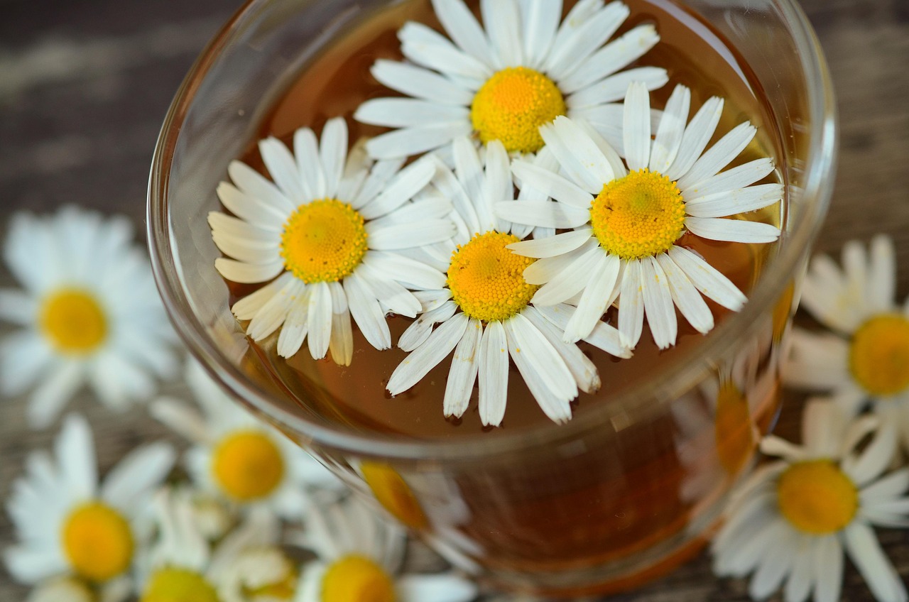 10 Natural Remedies That Blend Tradition and Science