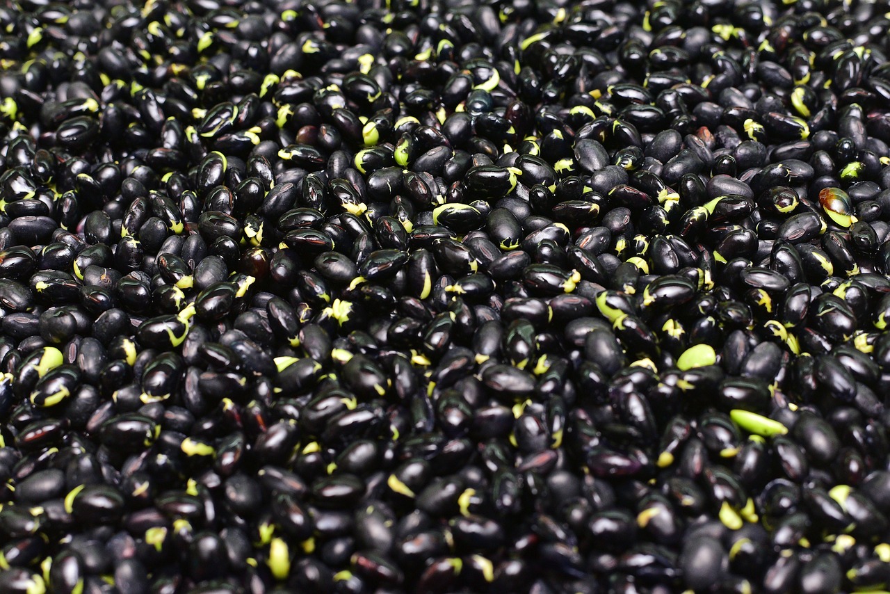 Is Magnesium Deficiency Causing Hair Loss? Eat These 6 Foods