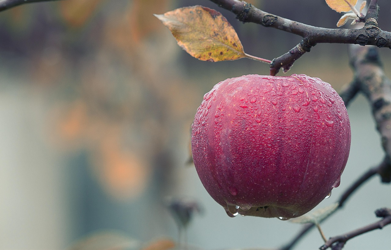 10 Fruits to Cut If You’re Avoiding Sugar