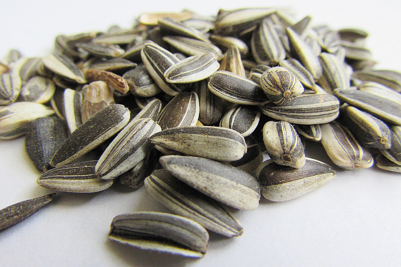 The 10 Healthiest Seeds, Ranked for Daily Nutrition