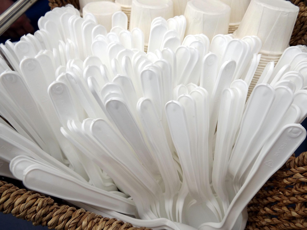 The Truth About Plastic Utensils and Hot Food
