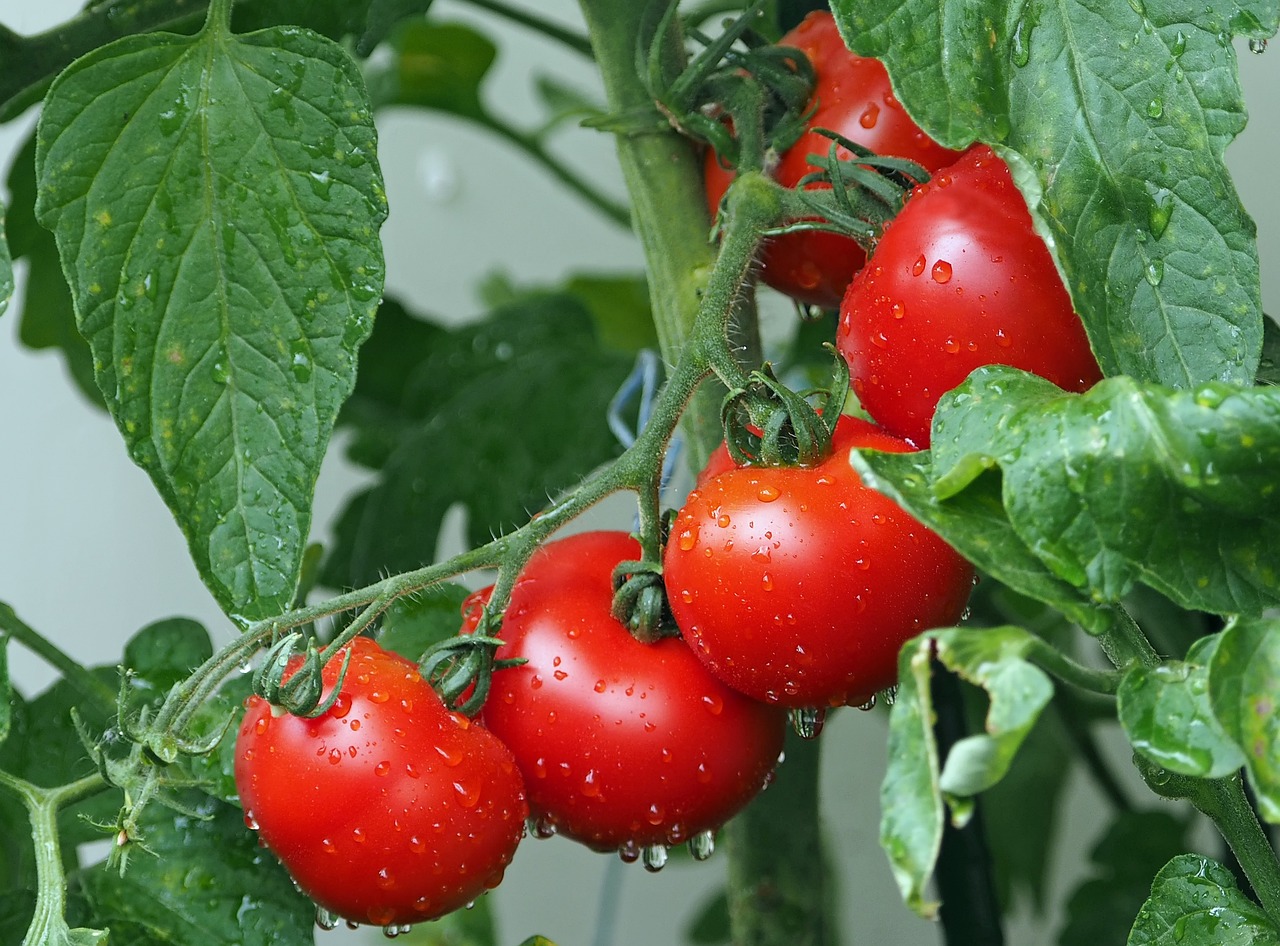 Top 9 Potassium-Rich Foods That Cut Hypertension
