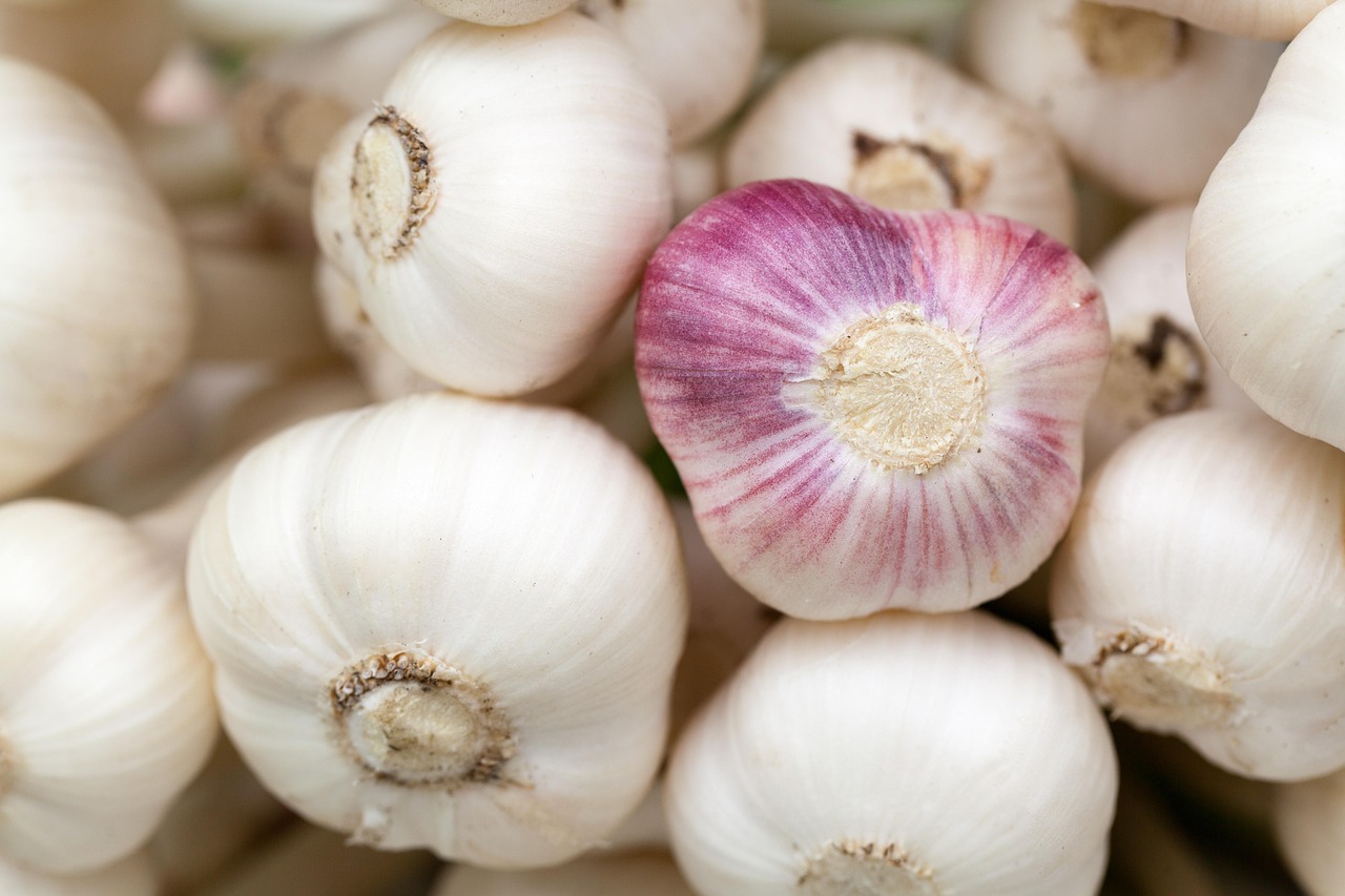 10 Superfoods That Support Heart Health and Circulation