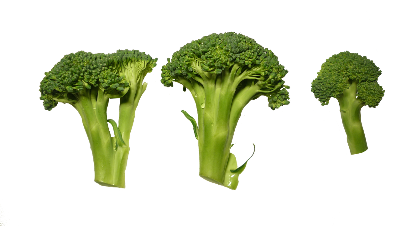7 Surprising Foods High in Vitamin K for Better Bone Health