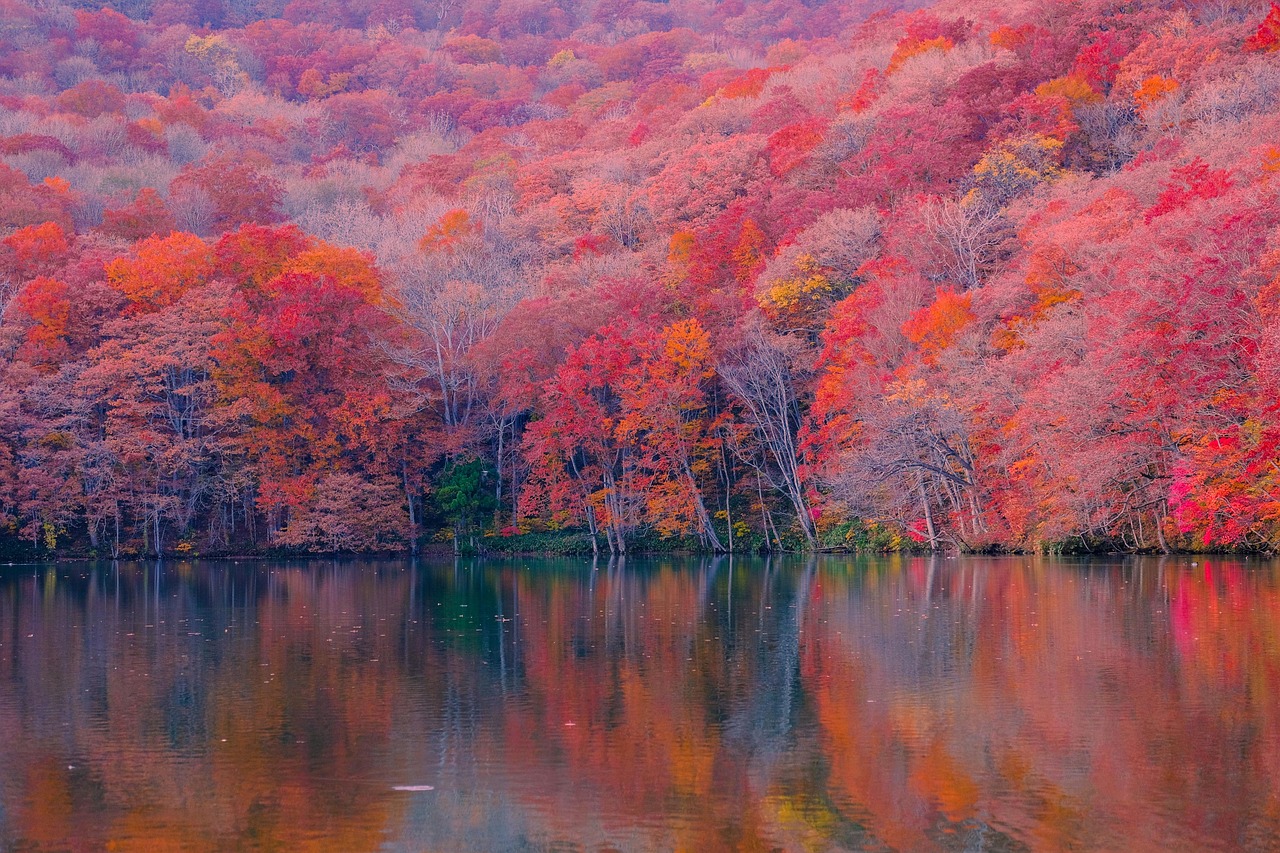 Why Maple Isn’t Just for Breakfast Anymore