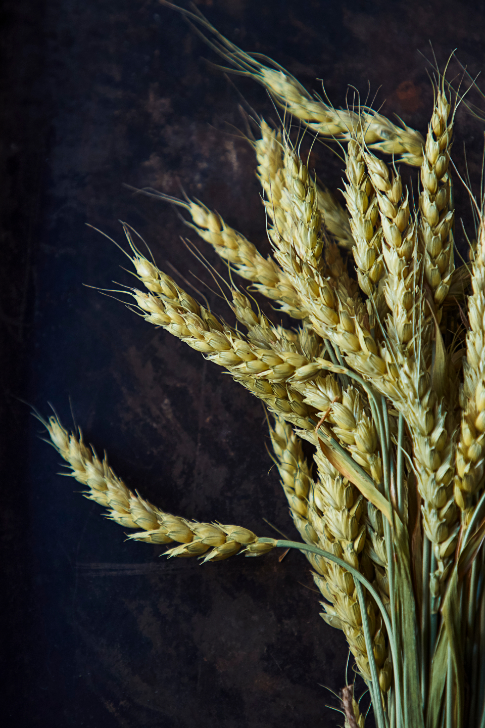 Top 9 Overlooked Low-Glycemic Foods for Diabetics