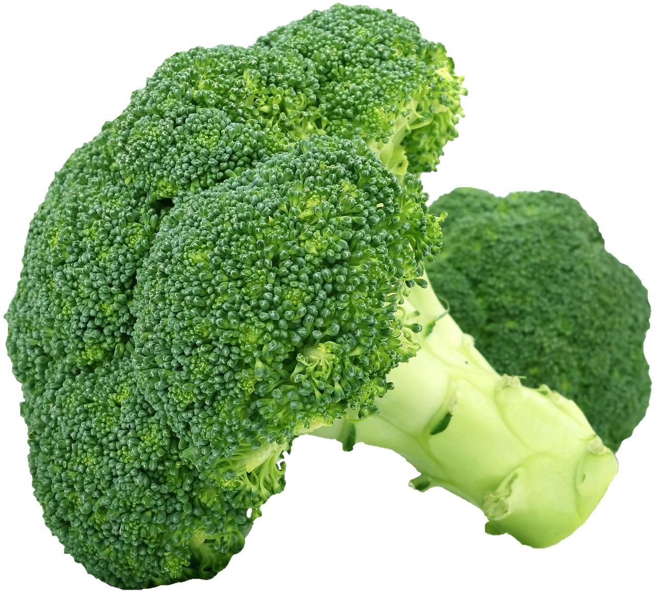 Top 9 Vegetables That Strengthen Heart Health and Lower Cholesterol