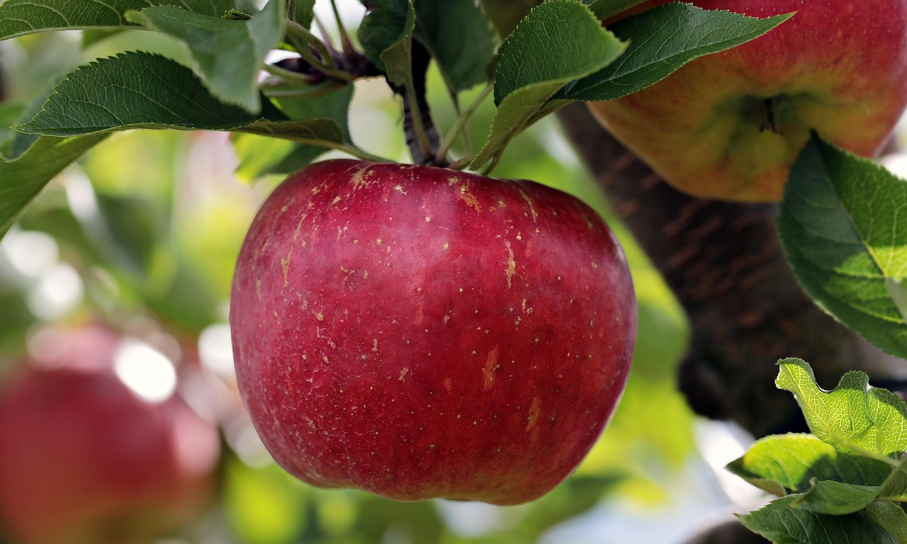 10 Foods That Fill You Up Without Adding Pounds