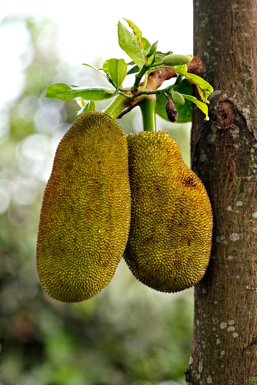 15 Fruits to Skip If You’re Reducing Sugar