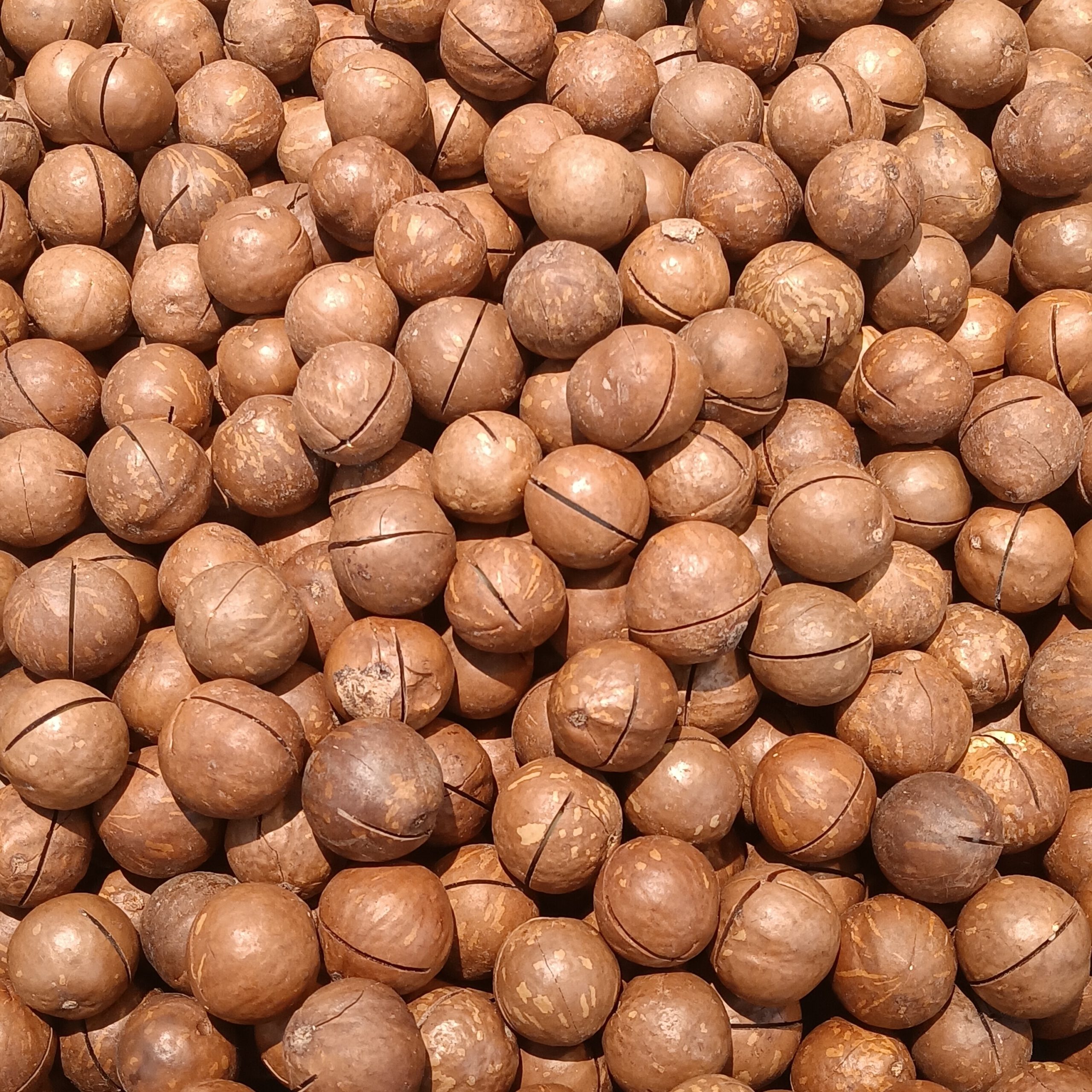 The Healthiest Nuts Listed—From Worst All the Way to Best