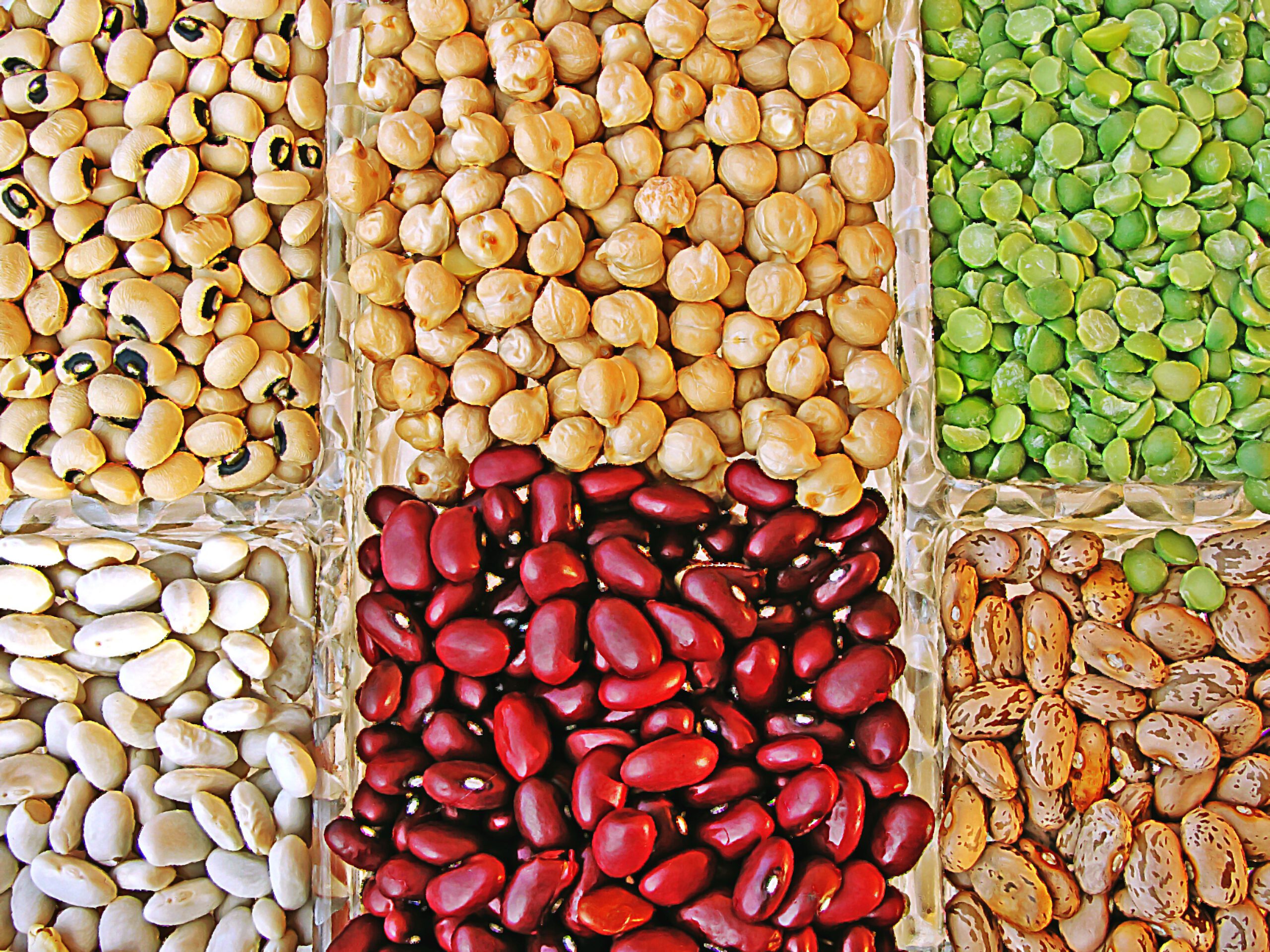 The Healthiest Beans—A Ranking from Worst to Best