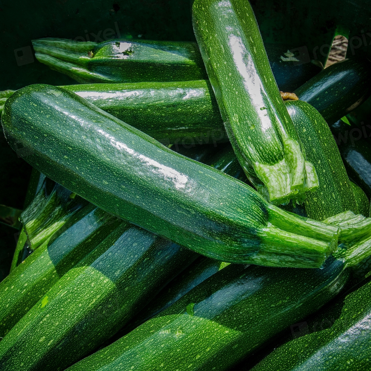 The Healthiest Vegetables—Ranked from Least to Most Nutritious