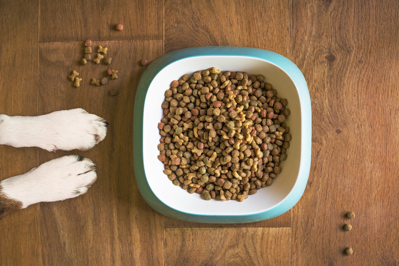 8 Dangerous Food Trends for Pets That Veterinarians Are Warning Against