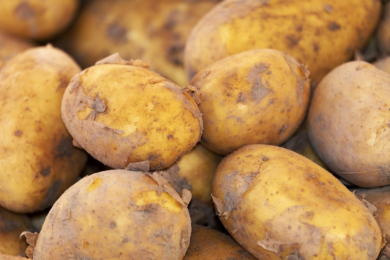 7 Commonly Microwaved Foods That Shouldn’t Be