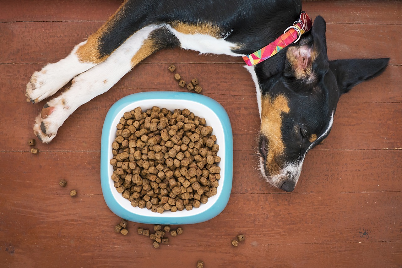 9 Treats That Lead to Obesity in Dogs (But Are Marketed as Healthy)