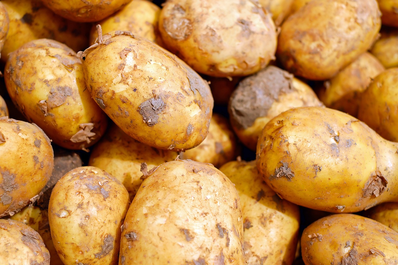 The Best Foods for Lower Cortisol