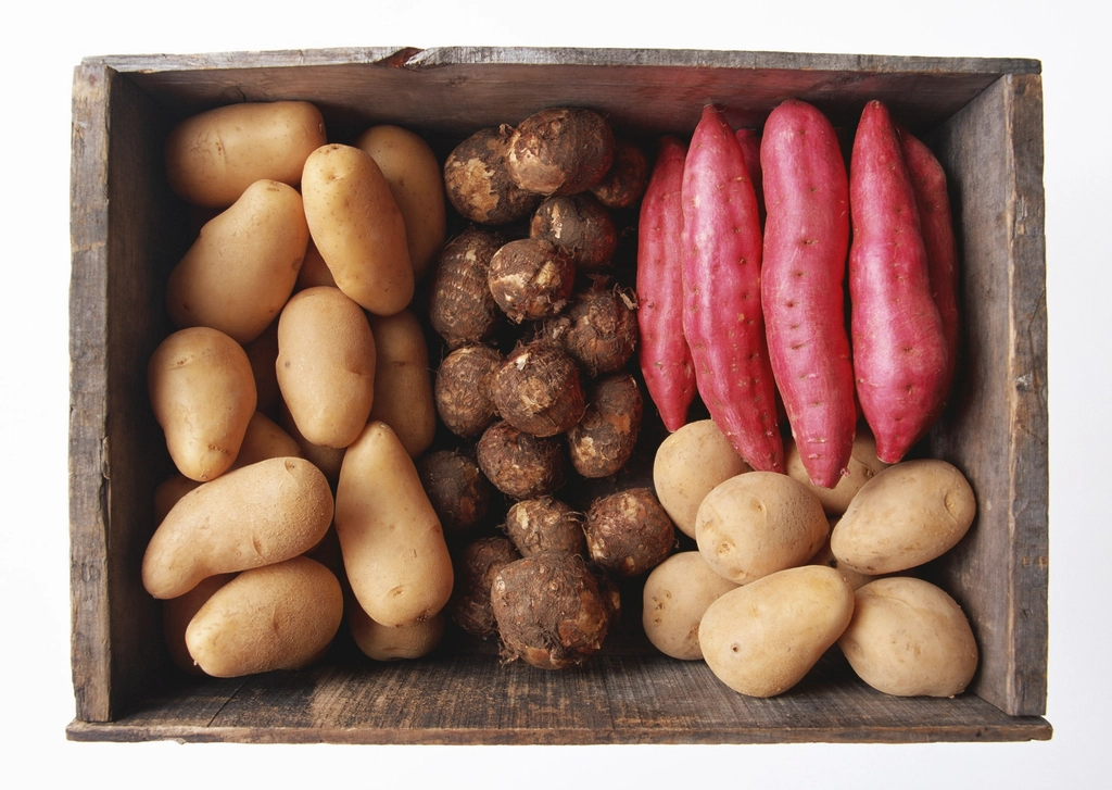 Foods That Support Bone Health